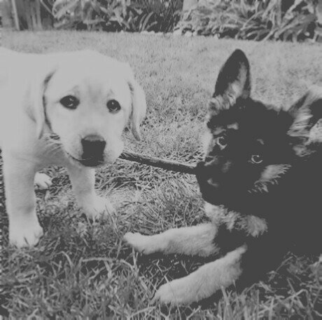 Bertemu George Orwell