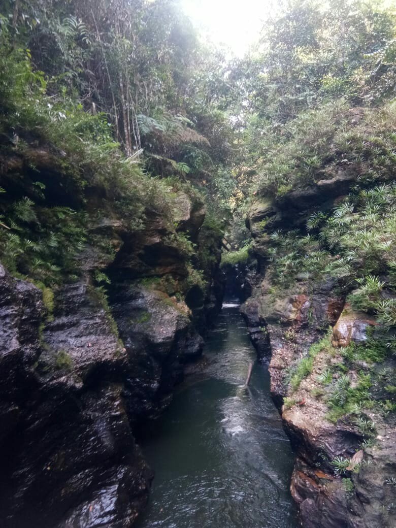 Gulamo, Eksotika Tersembunyi